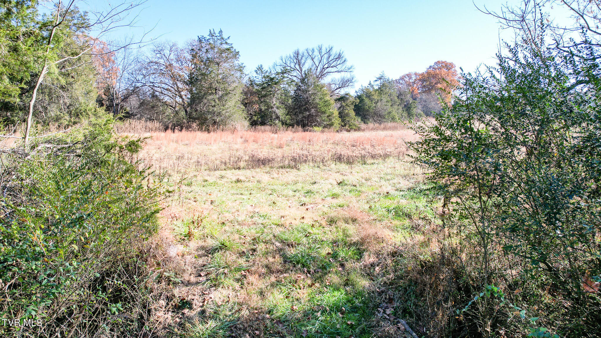 Lot 33 Sinking Springs Road, Unit 33 Midway, TN 37809 - Photo 10 of 31 Lot 33 #4 (1)