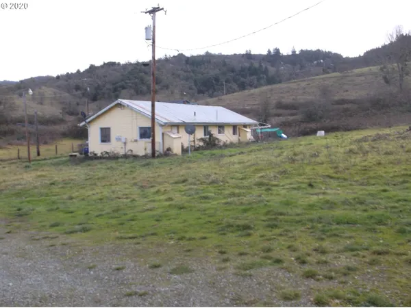 a view of a field with a tree in it