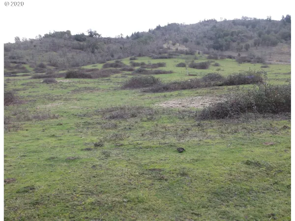 a black and white photo of a lake