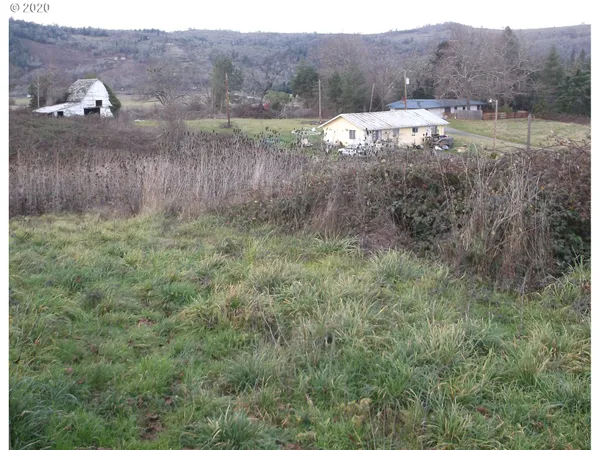 a view of a lush green forest with lush green forest