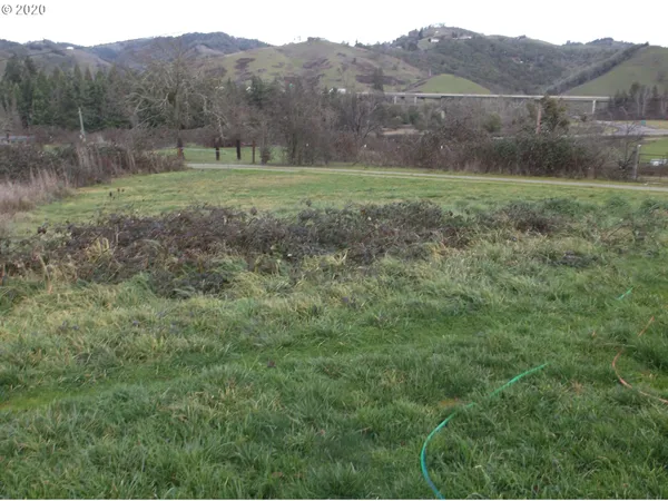 a view of a backyard with table and chairs and potted plants