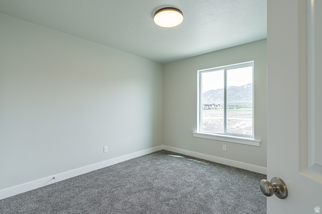 2249 South 1090 West, Unit 76 Nibley, UT 84321 - Photo 11 of 19 Bright room featuring a flush-mount ceiling light fixture, neutral wall paint, white trim, and gray carpeting