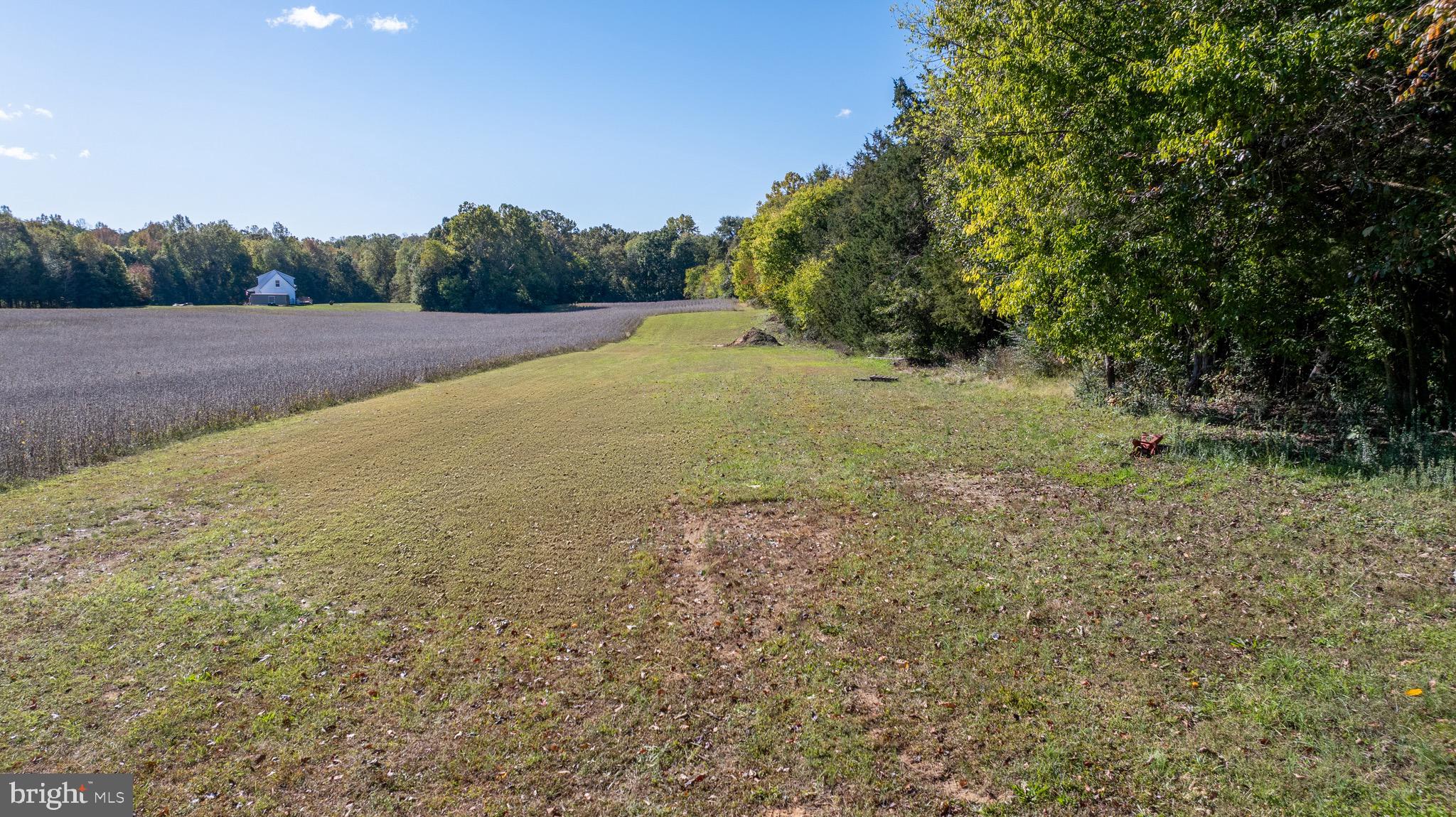 560 Gardners Road Mineral, VA 23117 - Photo 46 of 48 Gallery Image 46