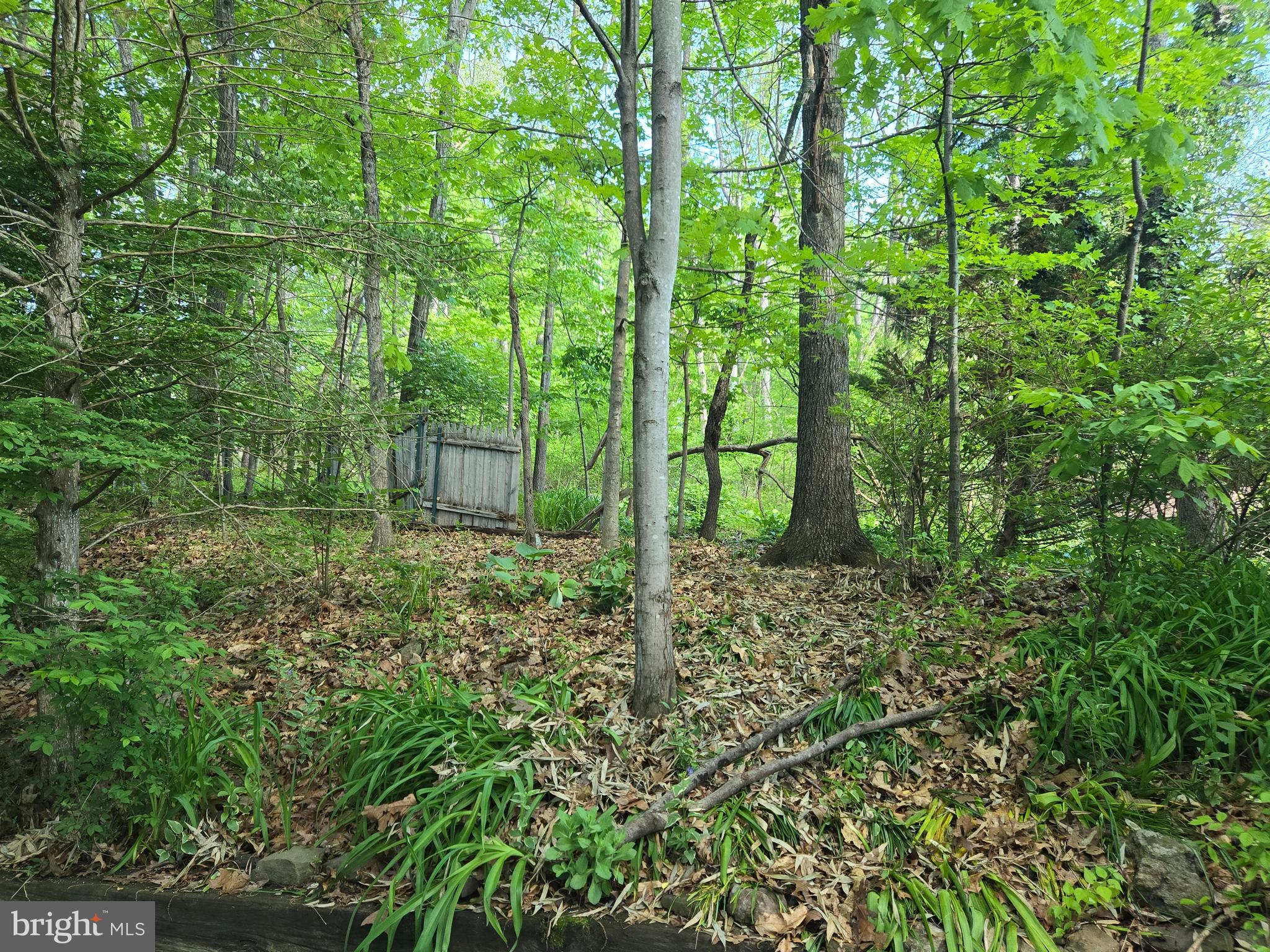 3450 Middle Ridge Road Newport, PA 17074 - Photo 8 of 29 Gallery Image 8