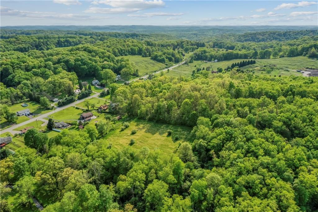 0 State Route 908/millerstown Road Natrona Heights, PA 15065 - Photo 11 of 11 a view of a lush green forest with lots of trees