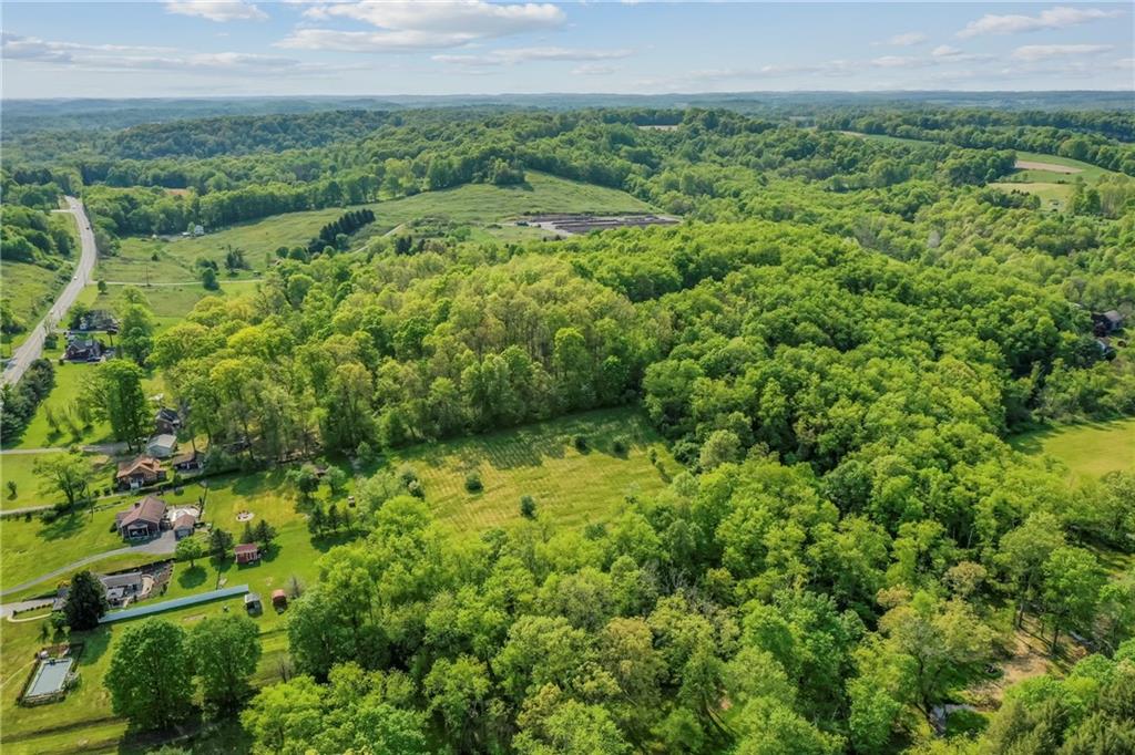 0 State Route 908/millerstown Road Natrona Heights, PA 15065 - Photo 10 of 11 a view of a lush green forest with lots of trees