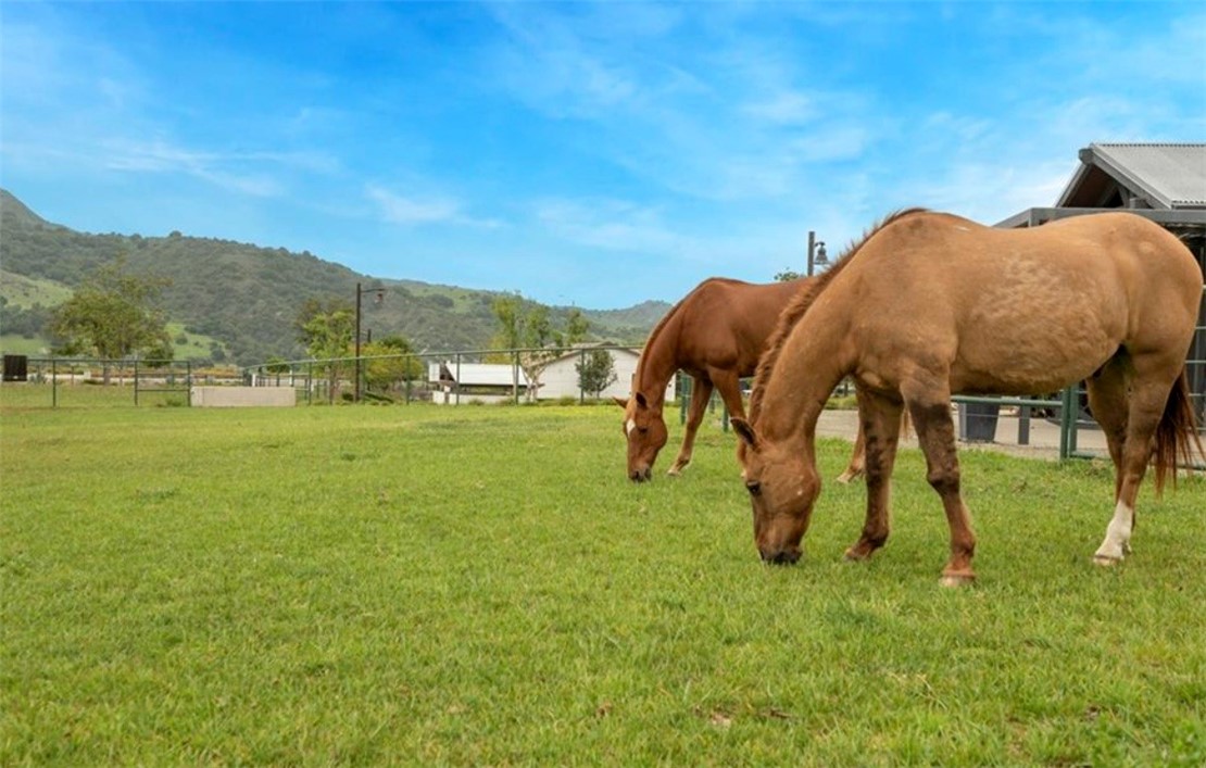 1200 Lasso Way, Unit 105 Rancho Mission Viejo, CA 92694 - Photo 29 of 43 a view of two chairs and a table on the side of the green field