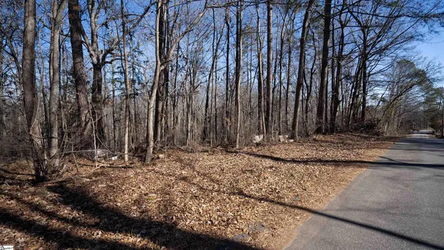 $19,900 | 121 State Rd S-42-2485, Pacolet, SC 29372