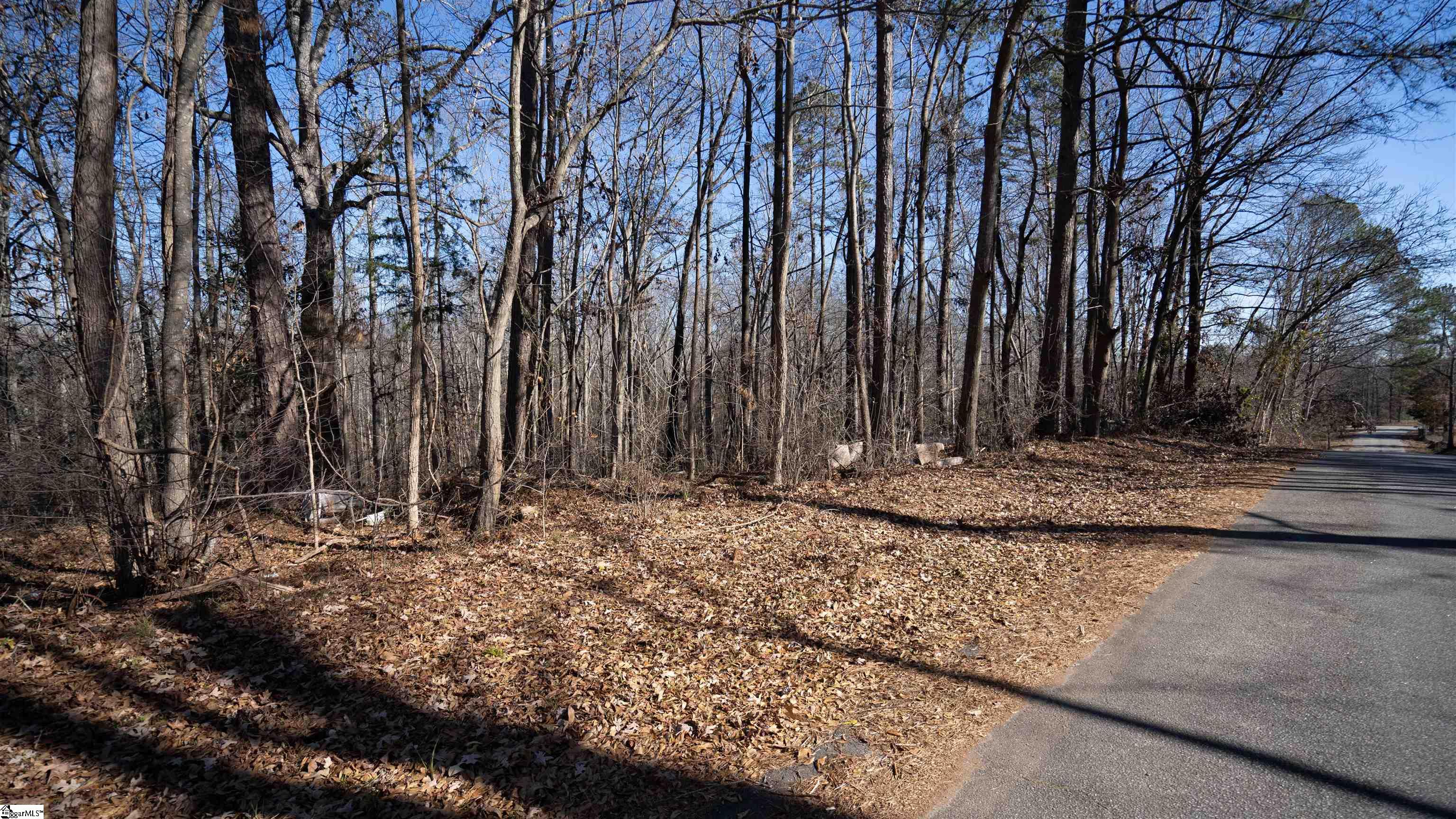 121 State Rd S-42-2485 Pacolet, SC 29372 - Photo 7 of 10