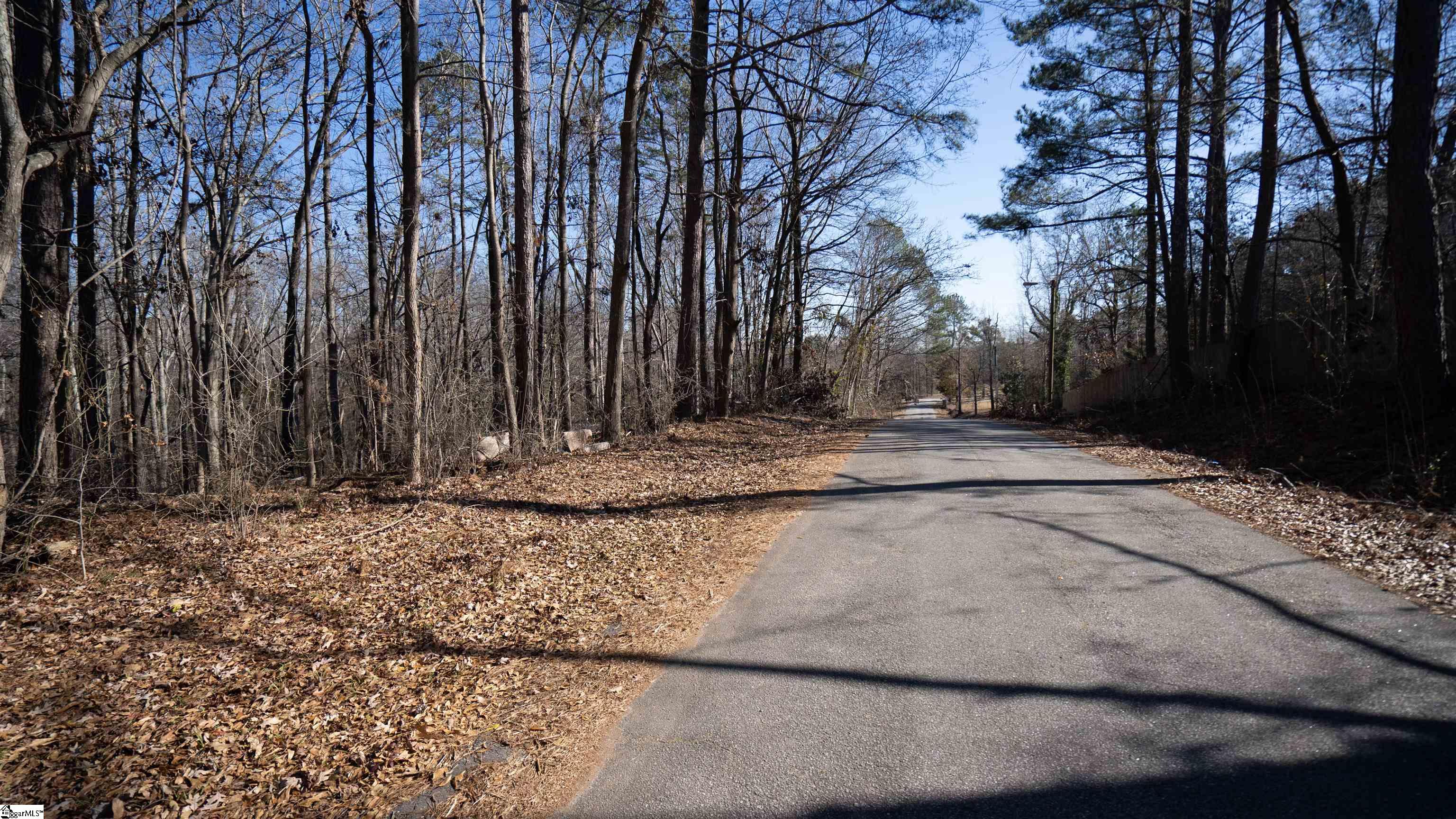 121 State Rd S-42-2485 Pacolet, SC 29372 - Photo 8 of 10