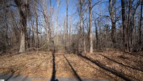 $19,900 | 121 State Rd S-42-2485, Pacolet, SC 29372