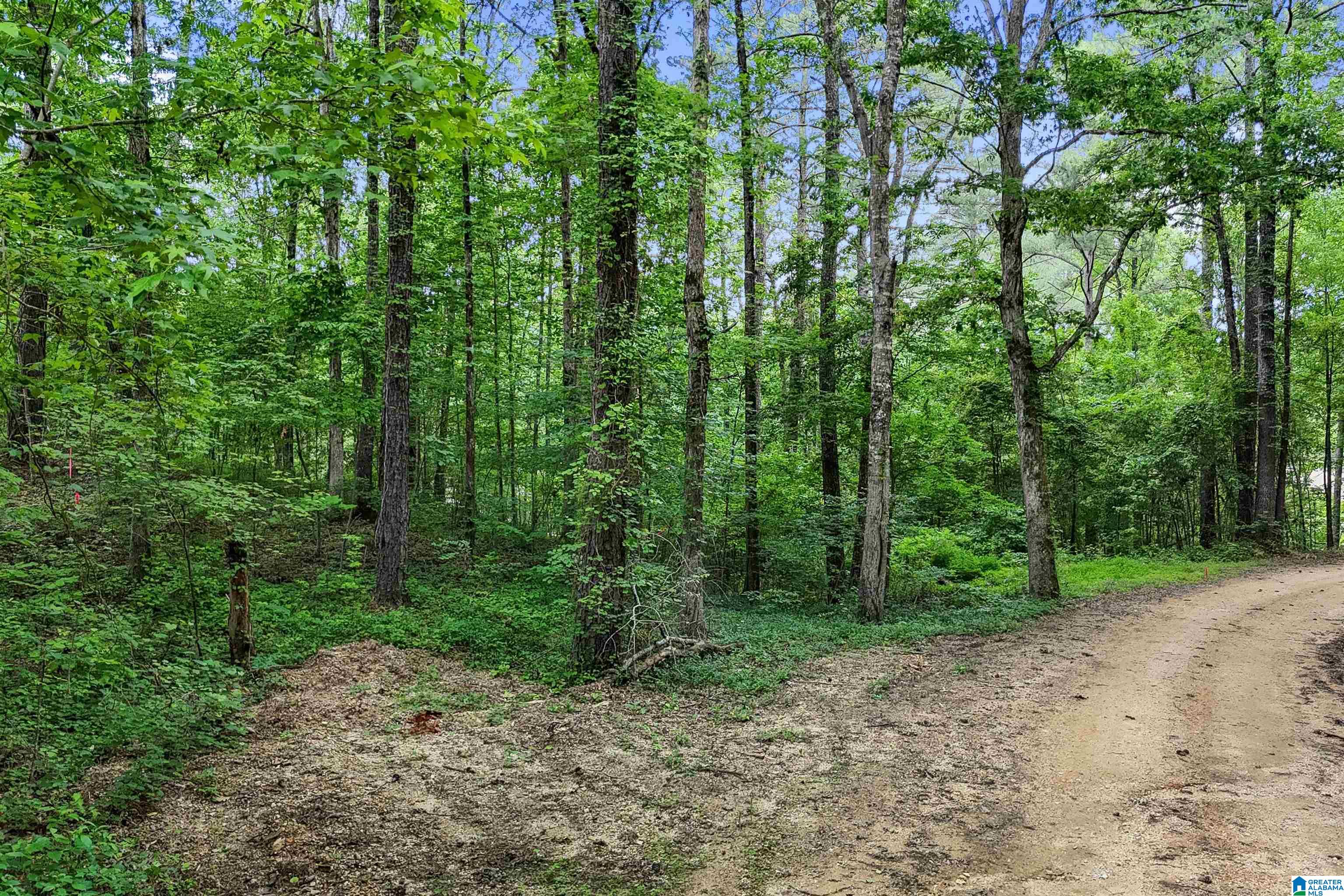 0 Red Oak Circle Helena, AL 35080 - Photo 15 of 21