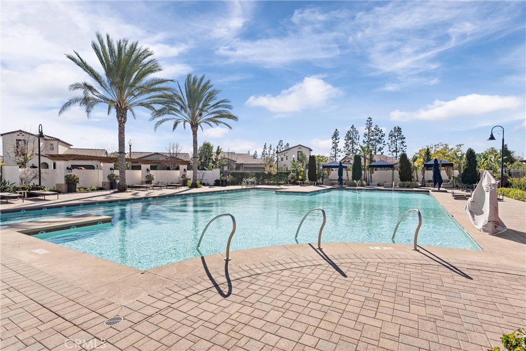 260 Buena Vida Drive, Unit 301 Brea, CA 92823 - Photo 37 of 50 a view of a swimming pool with a chair and palm trees