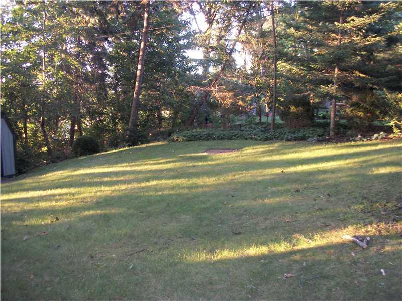1177 Prospect Road Whitehall, PA 15227 - Photo 3 of 10 Yard/Garden.