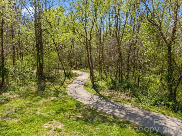 a view of a pathway both side of yard
