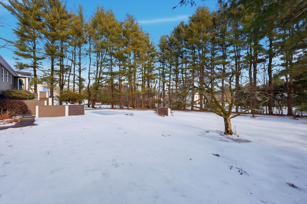 203 Green Hill Road Longmeadow, MA 01106 - Photo 36 of 42