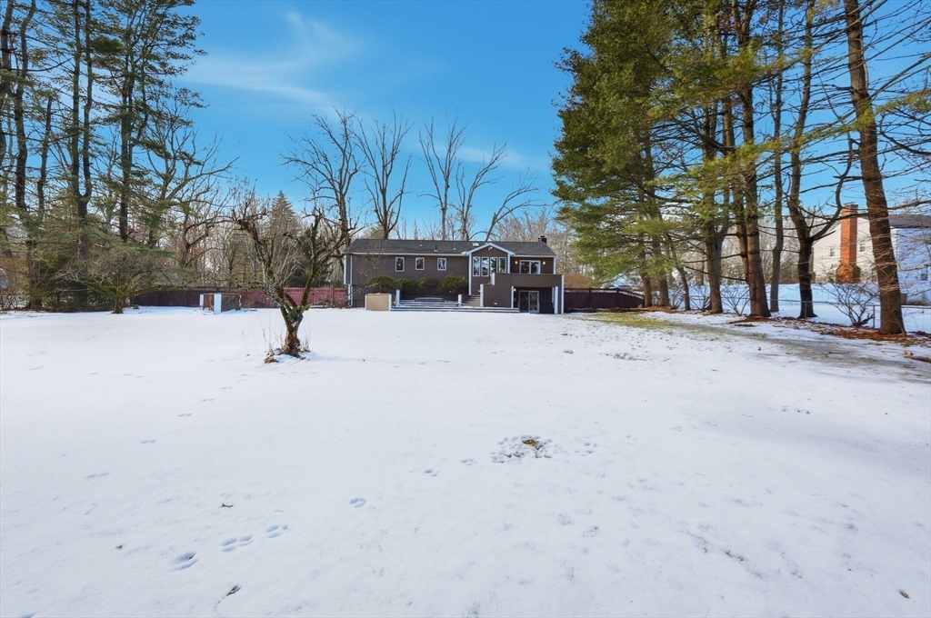 203 Green Hill Road Longmeadow, MA 01106 - Photo 38 of 42