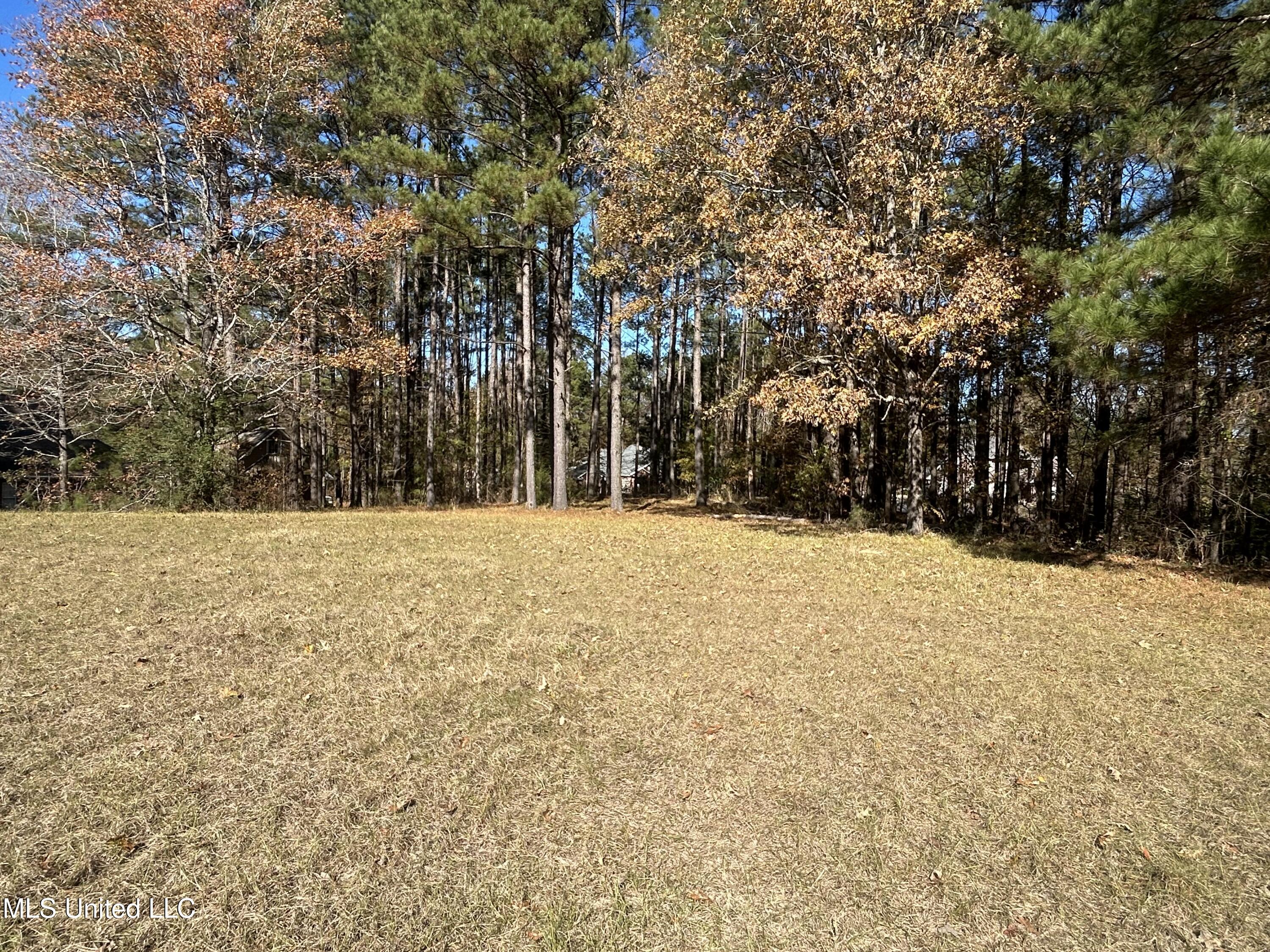 0 Yorktown Road Vicksburg, MS 39180 - Photo 5 of 14 IMG_0922
