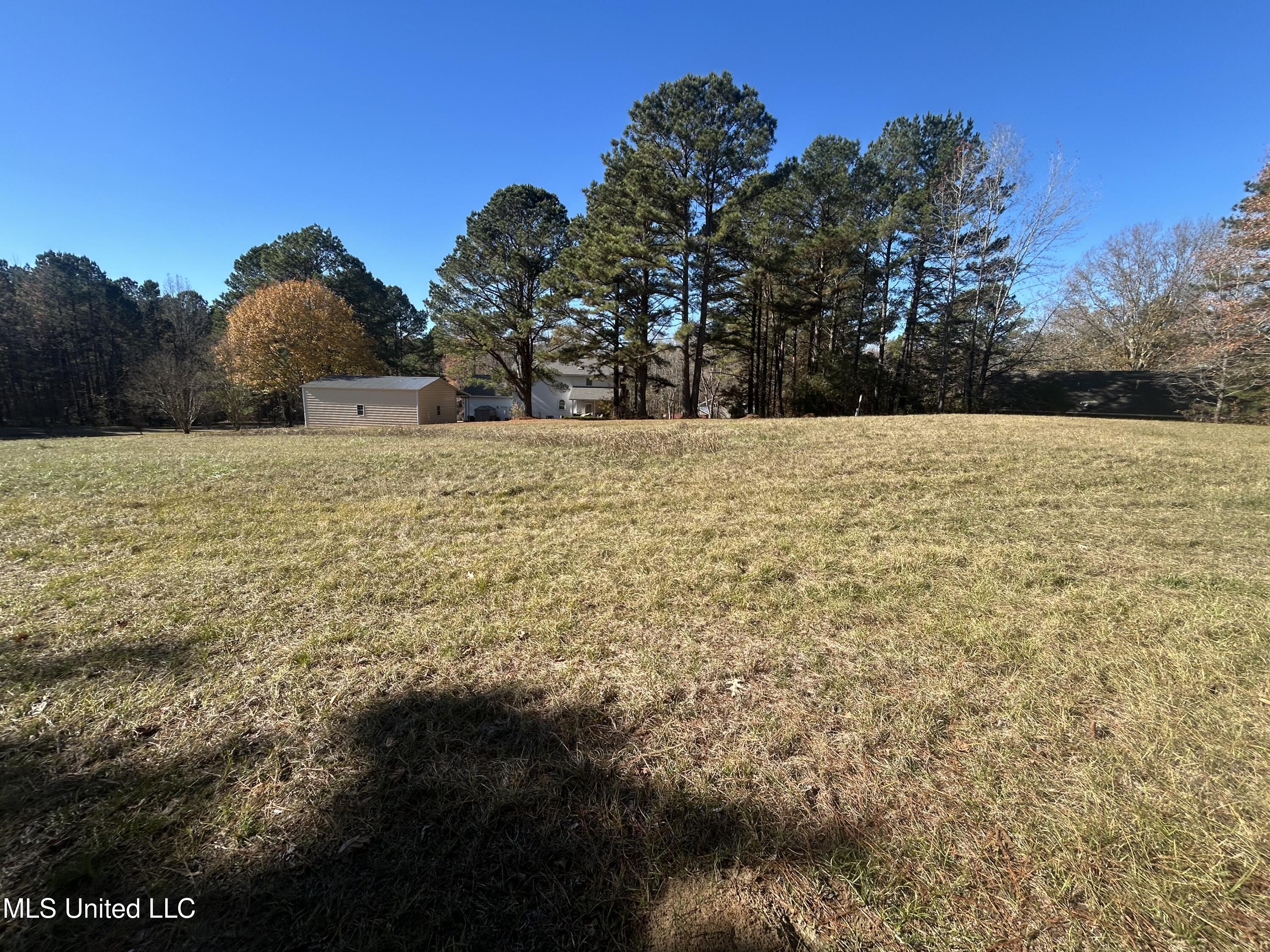 0 Yorktown Road Vicksburg, MS 39180 - Photo 6 of 14 IMG_0928