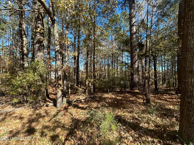 $39,500 | 0 Yorktown Road, Vicksburg, MS 39180