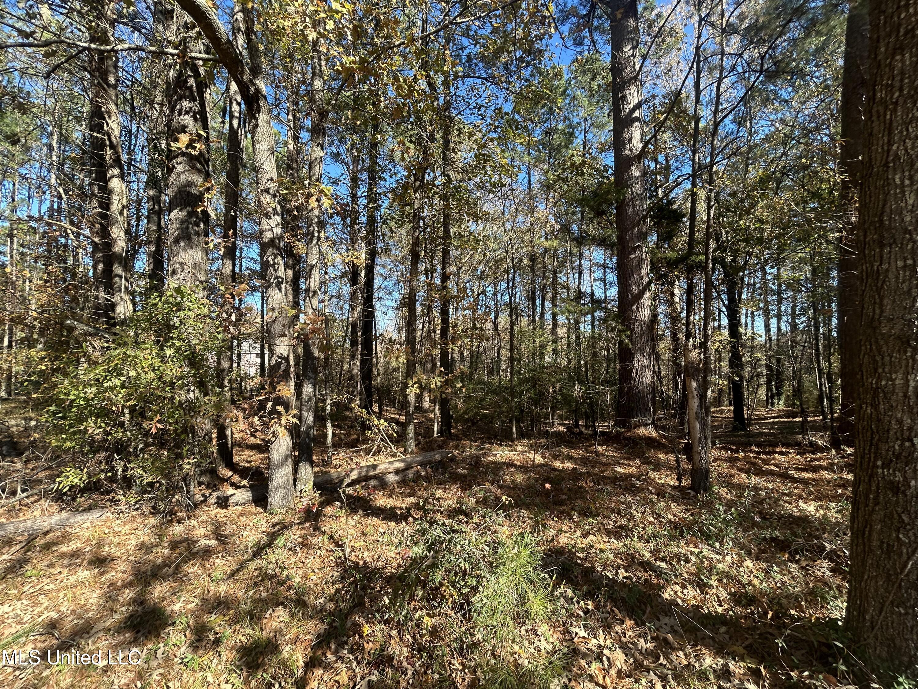 0 Yorktown Road Vicksburg, MS 39180 - Photo 8 of 14 IMG_0939