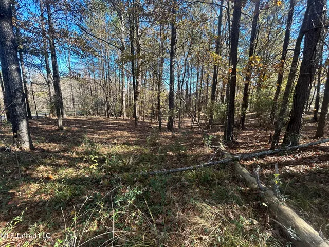 $39,500 | 0 Yorktown Road, Vicksburg, MS 39180