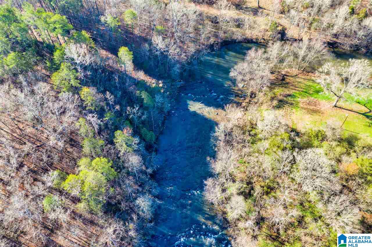 0 County Road 8, Unit 1 Clanton, AL 35045 - Photo 18 of 30