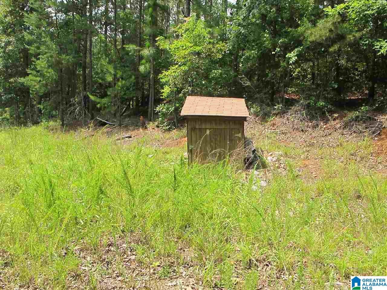 0 Edwards Drive, Unit 1 Wedowee, AL 36278 - Photo 13 of 13