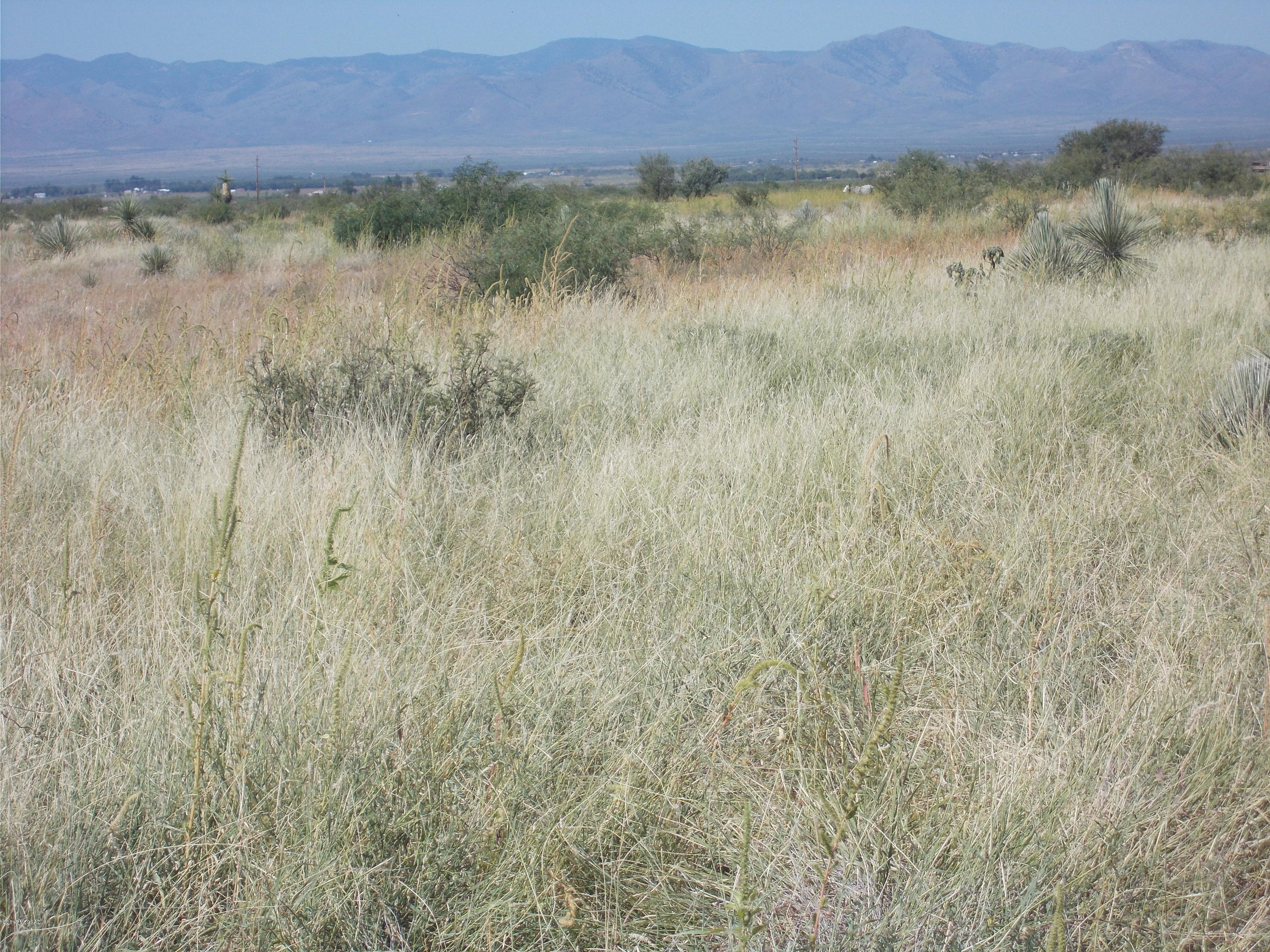 Lee Road McNeal, AZ 85617 - Photo 7 of 13
