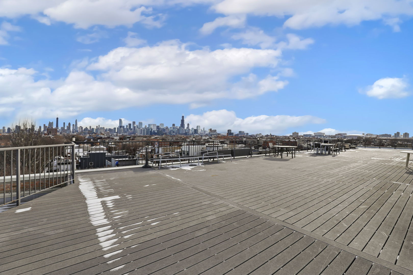 2101 West Rice Street, Unit 101 Chicago, IL 60622 - Photo 27 of 30