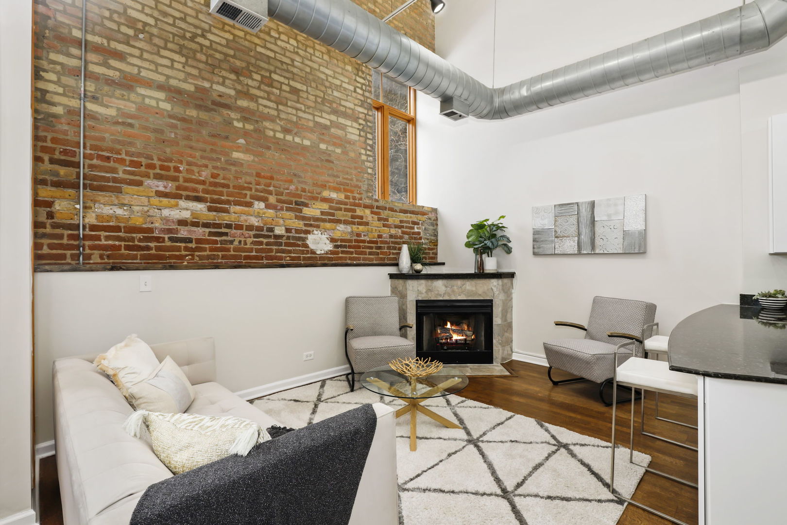 2101 West Rice Street, Unit 101 Chicago, IL 60622 - Photo 3 of 30