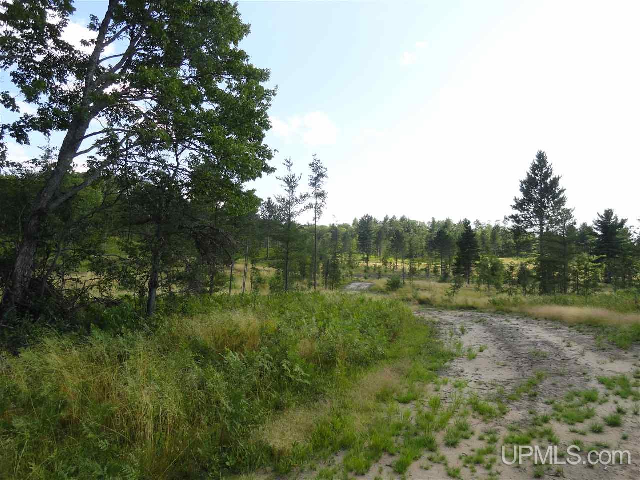 143-acres County Rd FF Republic, MI 49879 - Photo 6 of 18