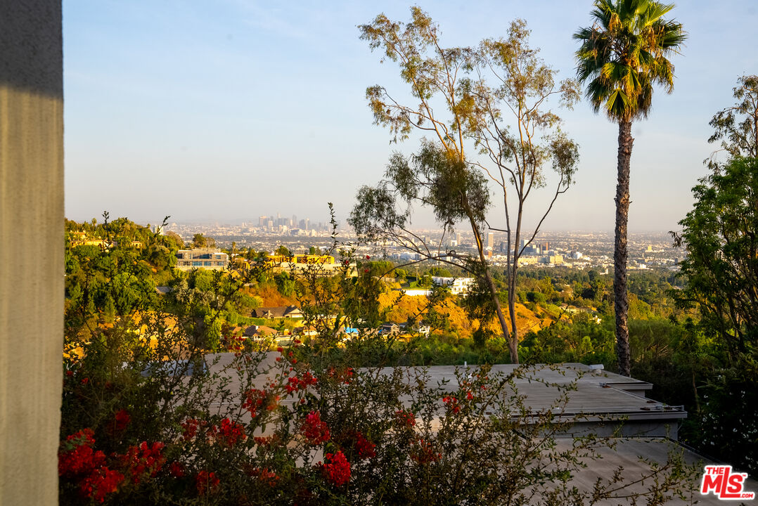 1438 Davies Drive Beverly Hills, CA 90210 - Photo 12 of 16 a view of a yard