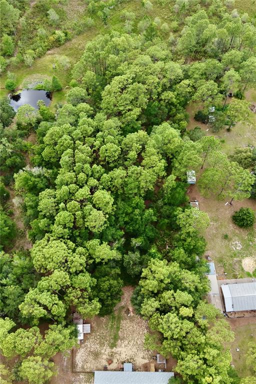 2482 South Wakulla Point Homosassa, FL 34448 - Photo 29 of 36