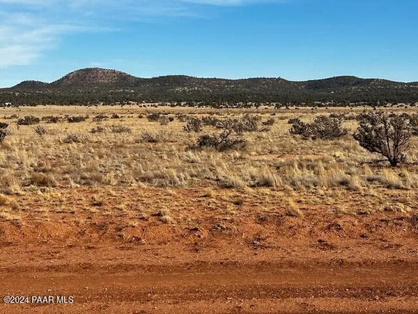 a view of mountain with a forest