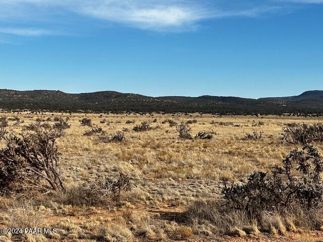 1270 B Along Way Seligman, AZ 86337 - Photo 8 of 10 a view of lake and mountain