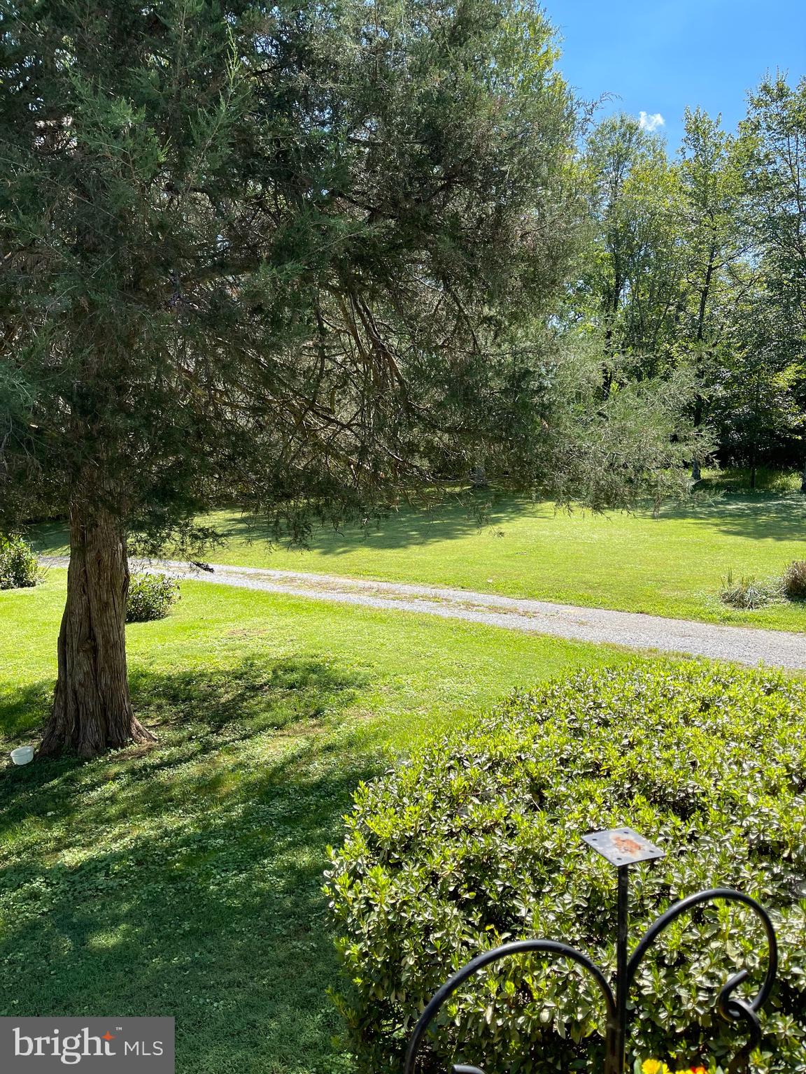 11605 Hazel River Road Rixeyville, VA 22737 - Photo 40 of 46