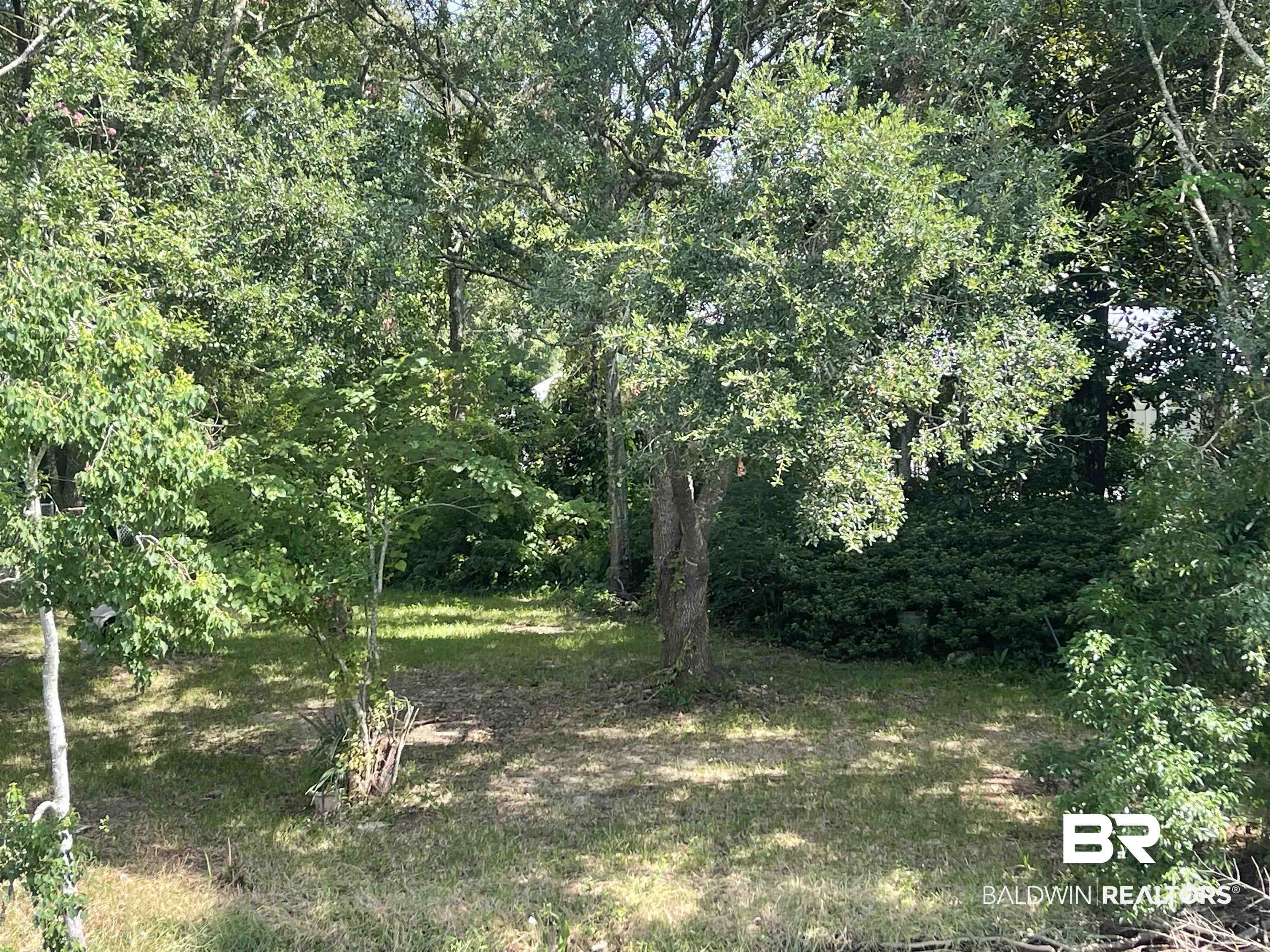 3074 Riverside Drive West Mobile, AL 36605 - Photo 15 of 15 View of yard