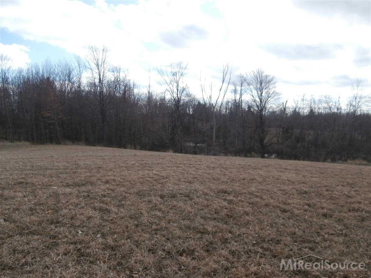 269 East Bennington Road Owosso, MI 48867 - Photo 7 of 29 31234614-6.JPG