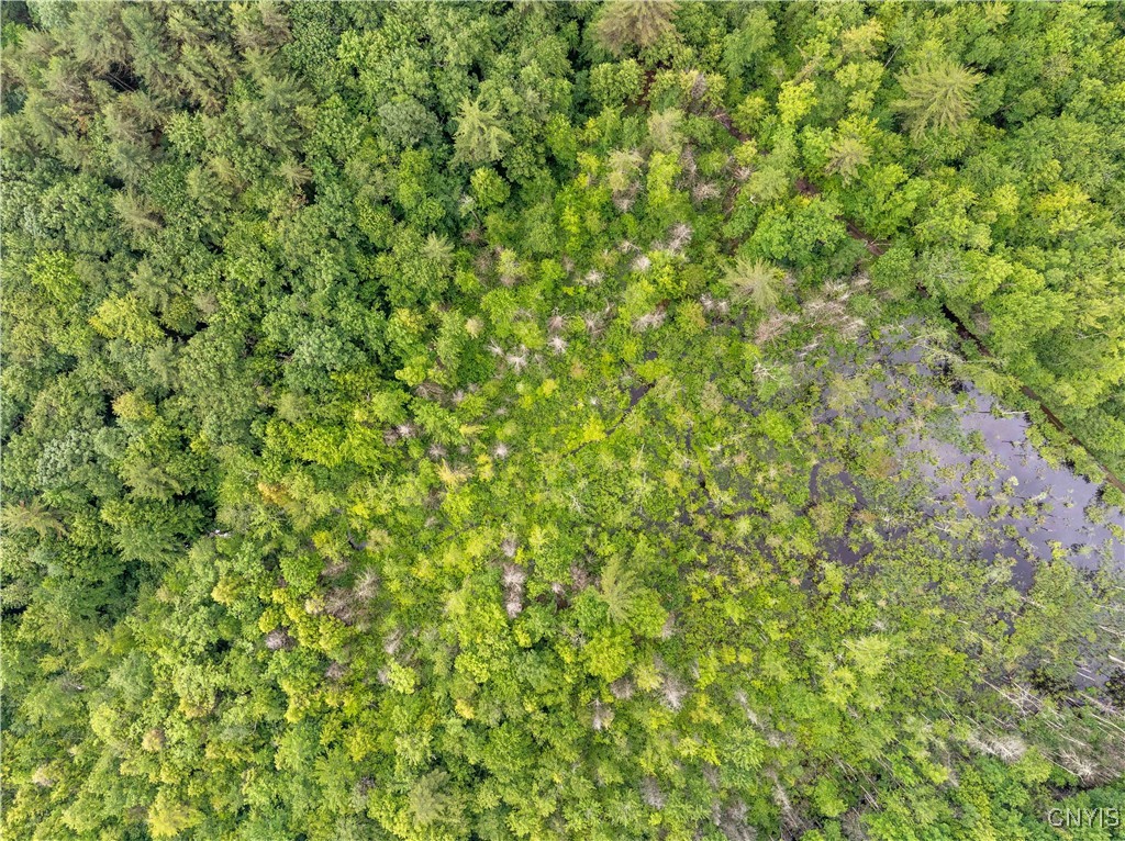 392 South Albion Road Altmar, NY 13302 - Photo 22 of 40