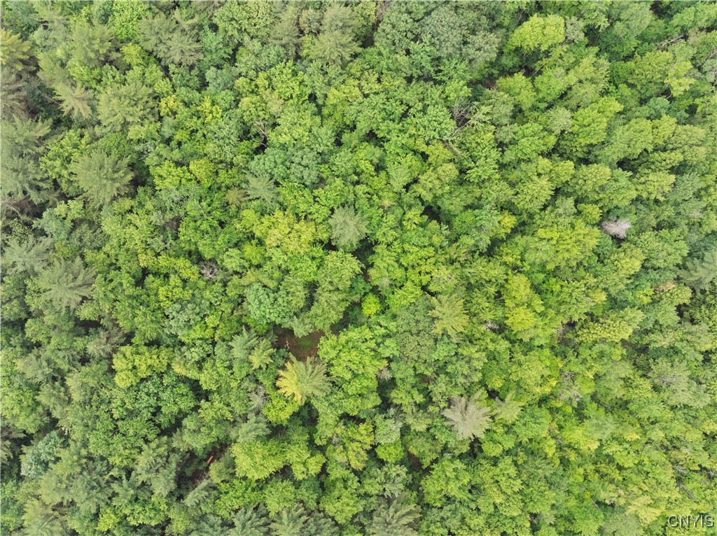 392 South Albion Road Altmar, NY 13302 - Photo 23 of 40