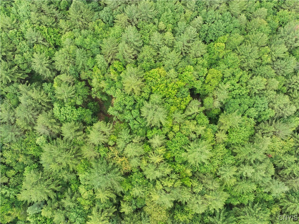 392 South Albion Road Altmar, NY 13302 - Photo 24 of 40