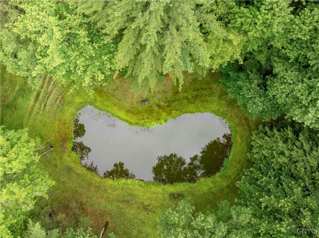 392 South Albion Road Altmar, NY 13302 - Photo 35 of 40