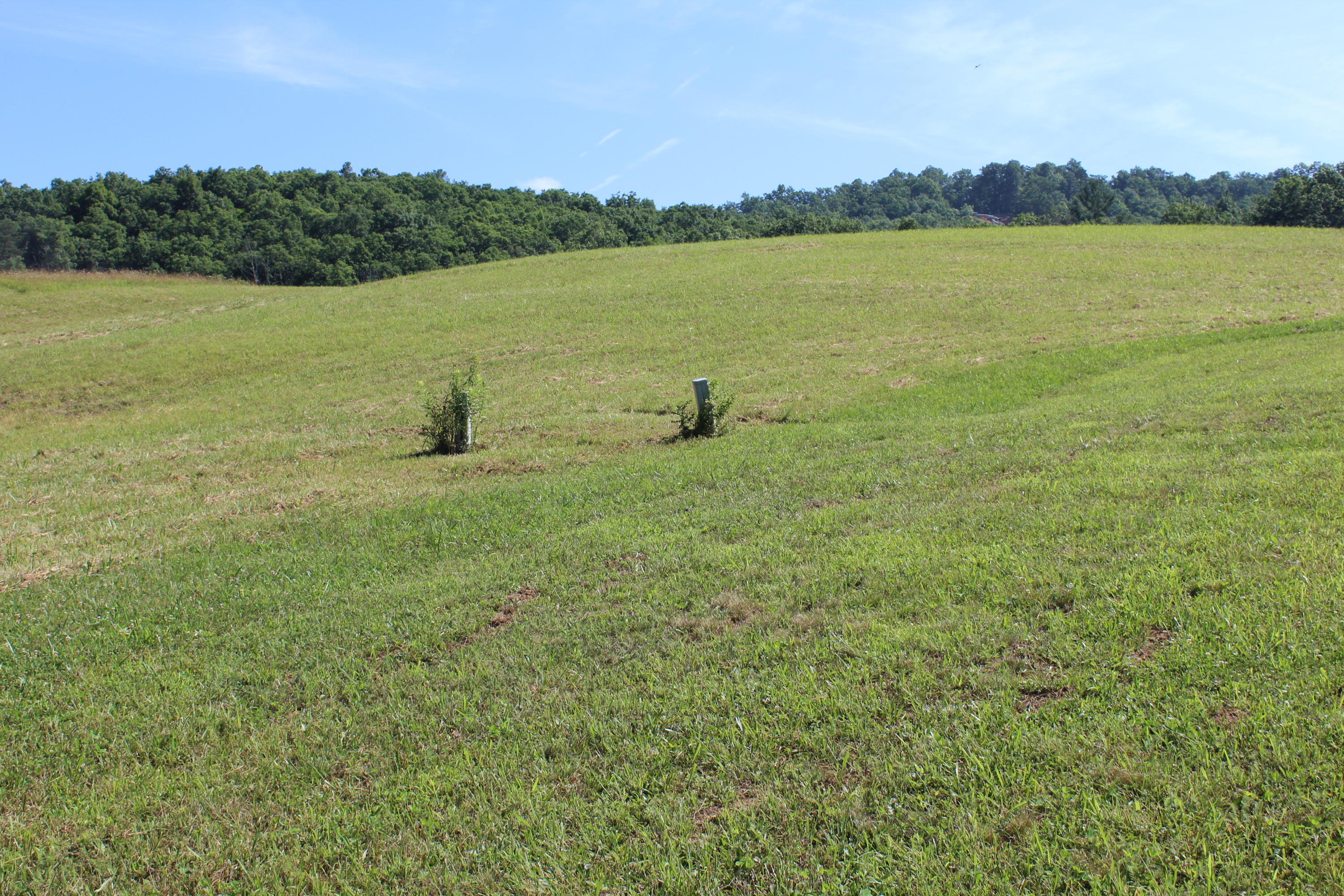 788 Wayside Talcott Road Talcott, WV 24981 - Photo 29 of 31 Gallery Image 29
