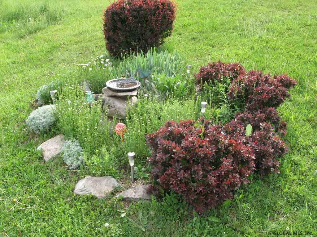 1169 Bull Hill Road Conesville, NY 12076 - Photo 18 of 18 Photo 18