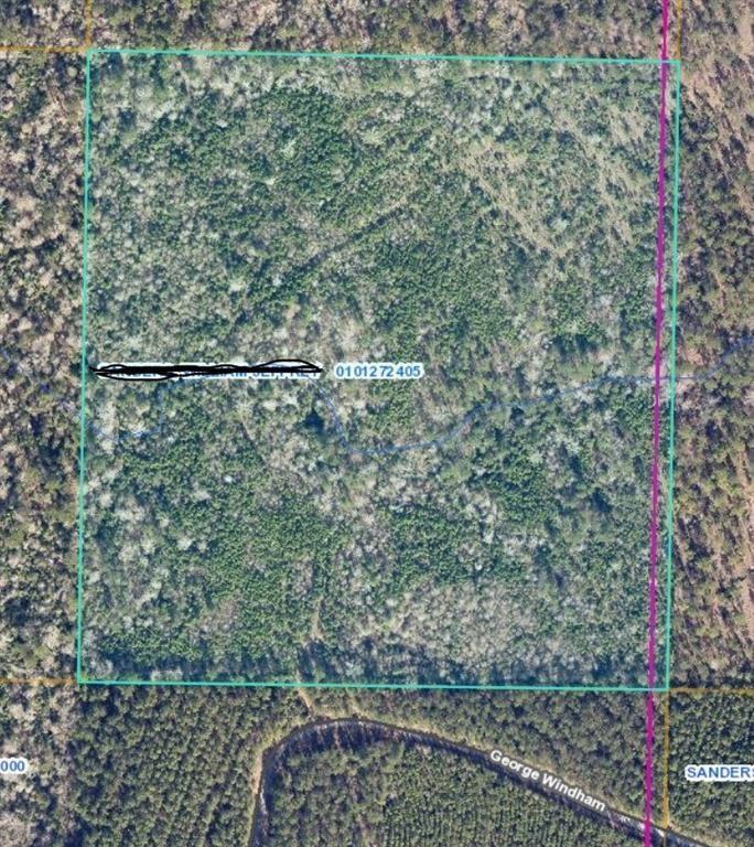 George Windham Road Starks, LA 70661 - Photo 1 of 1 Gallery Image 1