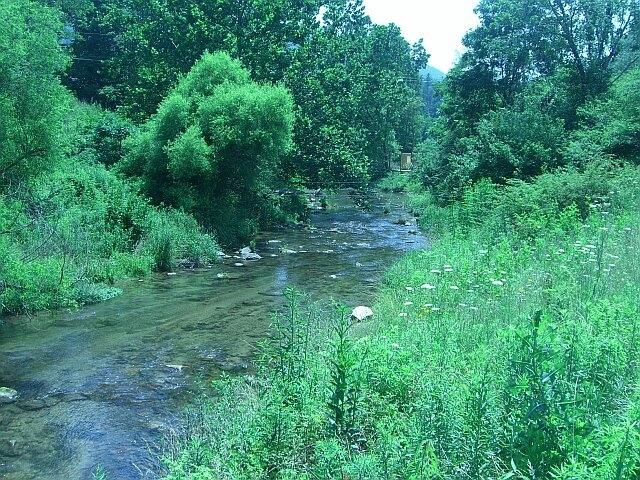0 West W Highway Butler, TN 37640 - Photo 2 of 11 Doe Creek