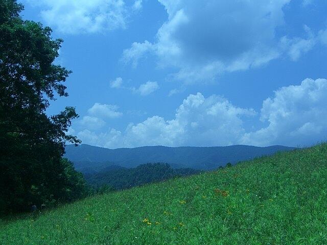 0 West W Highway Butler, TN 37640 - Photo 3 of 11 View to ridge