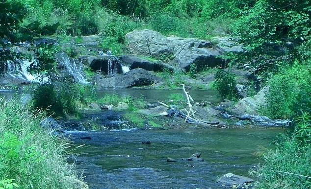 0 West W Highway Butler, TN 37640 - Photo 5 of 11 Doe Creek Fall