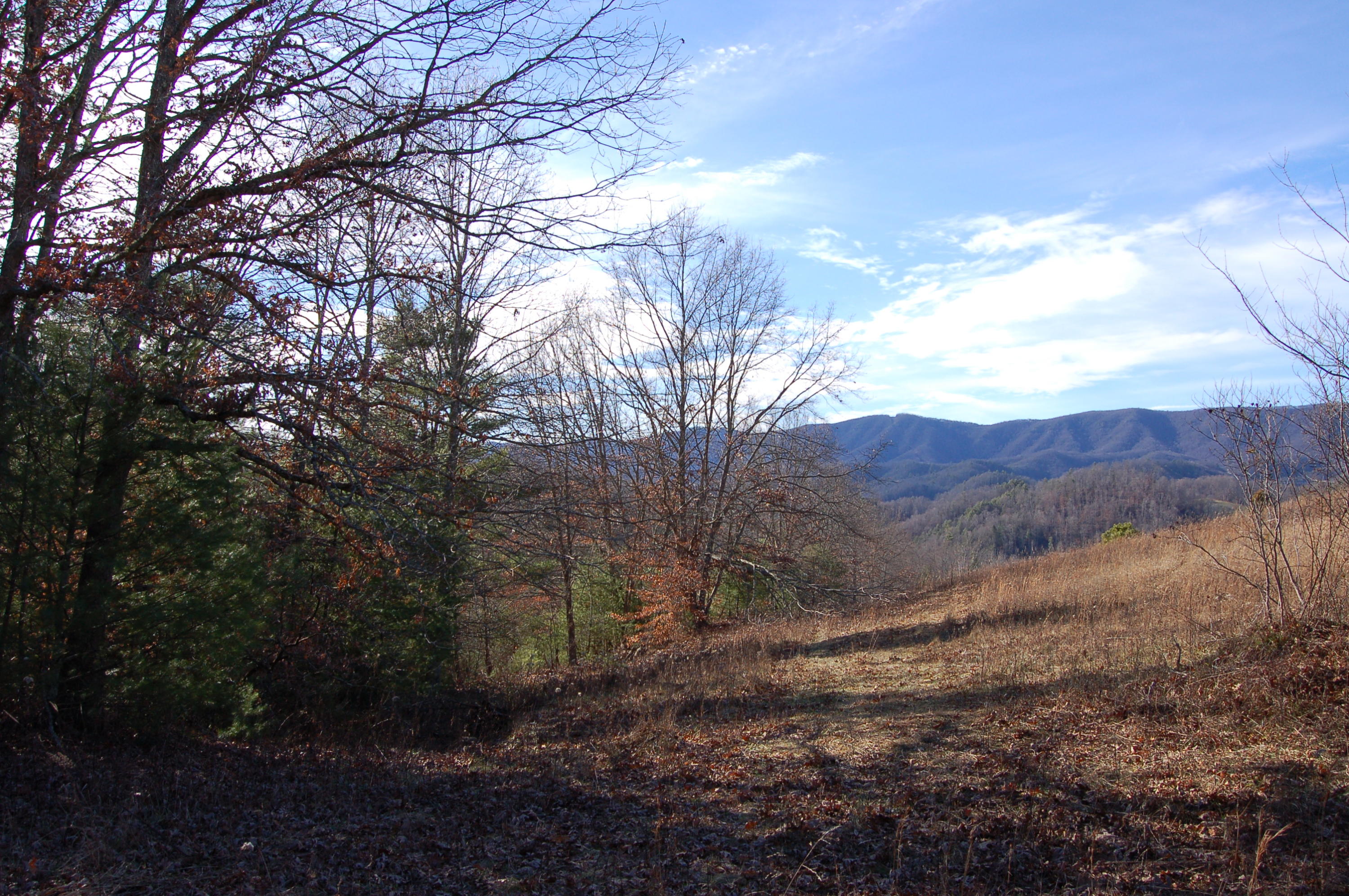 0 West W Highway Butler, TN 37640 - Photo 8 of 11 Long range view